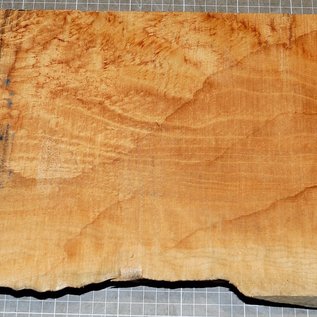 Softmaple, gemuschelt, ca. 550 x 210 x 55 mm, 4,3 kg