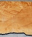 Softmaple, gemuschelt, ca. 550 x 210 x 55 mm, 4,3 kg