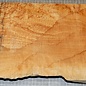 Softmaple, gemuschelt, ca. 550 x 210 x 55 mm, 4,3 kg