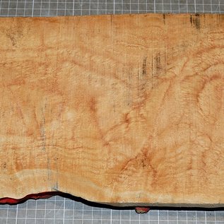 Softmaple, gemuschelt, ca. 550 x 190 x 46 mm, 3,6 kg