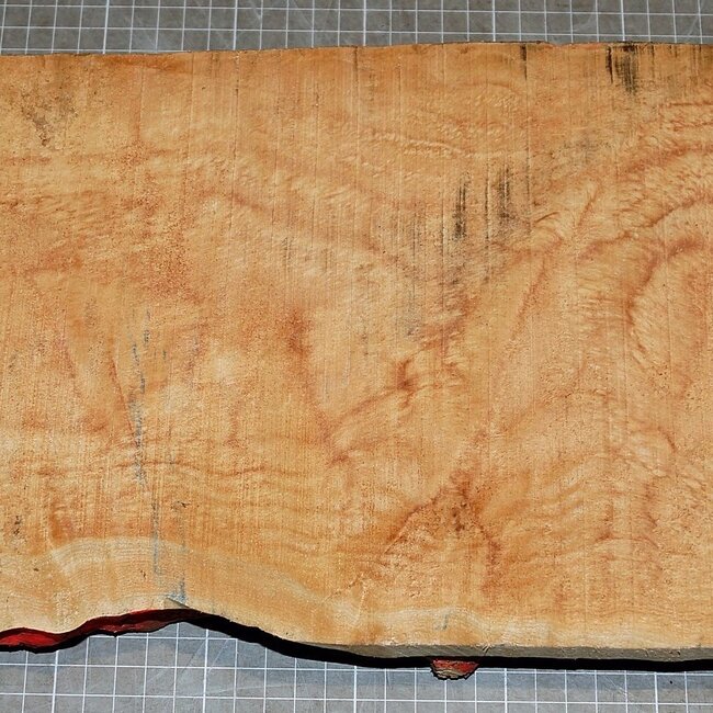 Softmaple, gemuschelt, ca. 550 x 190 x 46 mm, 3,6 kg