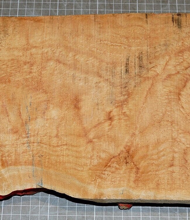 Softmaple, gemuschelt, ca. 550 x 190 x 46 mm, 3,6 kg