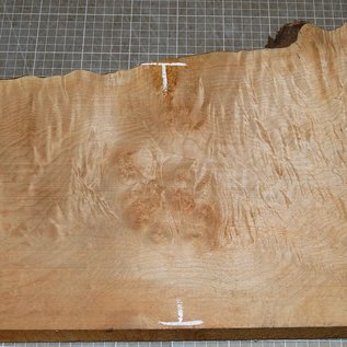 Softmaple, gemuschelt, ca. 580 x 250 x 52 mm, 4,9 kg