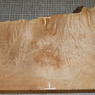 Softmaple, gemuschelt, ca. 580 x 250 x 52 mm, 4,9 kg