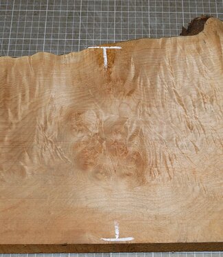 Softmaple, gemuschelt, ca. 580 x 250 x 52 mm, 4,9 kg