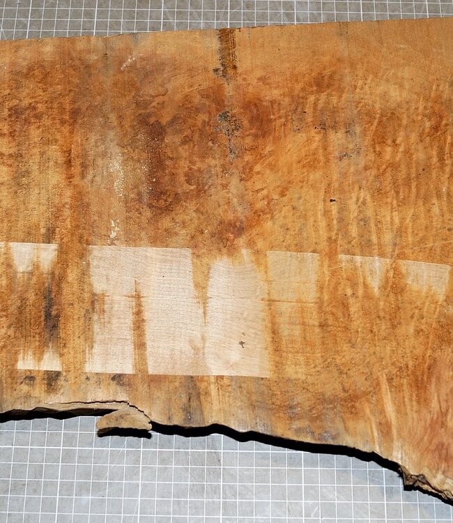 Softmaple, gemuschelt, ca. 580 x 250 x 52 mm, 4,9 kg