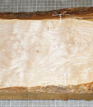 Softmaple, gemuschelt, ca. 610 x 185 x 50 mm, 3,6 kg