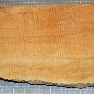 Softmaple, gemuschelt, ca. 560 x 210 x 50 mm, 4,0 kg