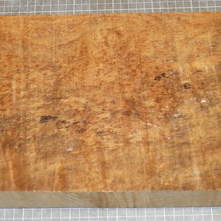 Softmaple, gemuschelt, ca. 550 x 210 x 52 mm, 3,7 kg