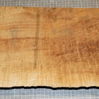 Softmaple, gemuschelt, ca. 560 x 210 x 52 mm, 4,1 kg