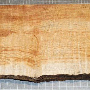 Softmaple, gemuschelt, ca. 590 x 230 x 56 mm, 4,7 kg