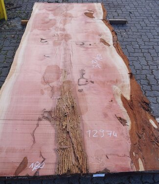 Redwood Tischplatte, ca. 3700 x 1500 x 70 mm, 12974