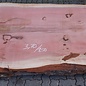 Redwood table top, approx. 3700 x 1500 x 70 mm, 12974