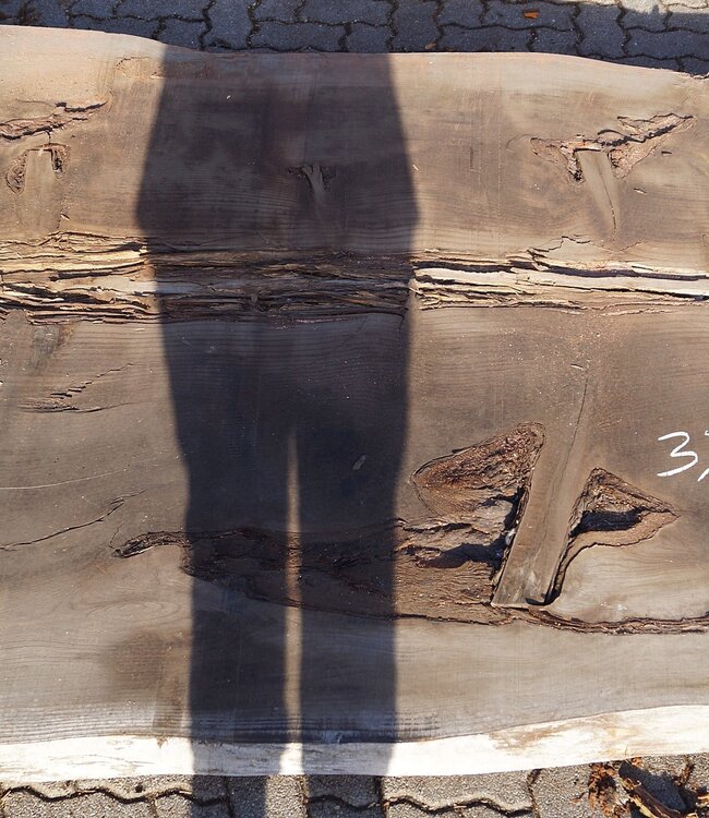 Redwood Tischplatte, ca. 3700 x 1450 x 70 mm, 12972