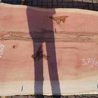 Redwood Tischplatte, ca. 3700 x 1550 x 70 mm, 12971