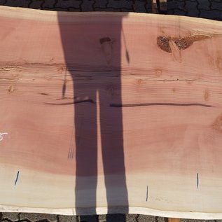 Redwood Tischplatte, ca. 3700 x 1550 x 70 mm, 12971