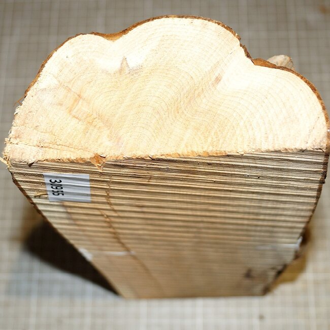 Yew, approx. 315 x 140 x 70 mm, 1,9 kg