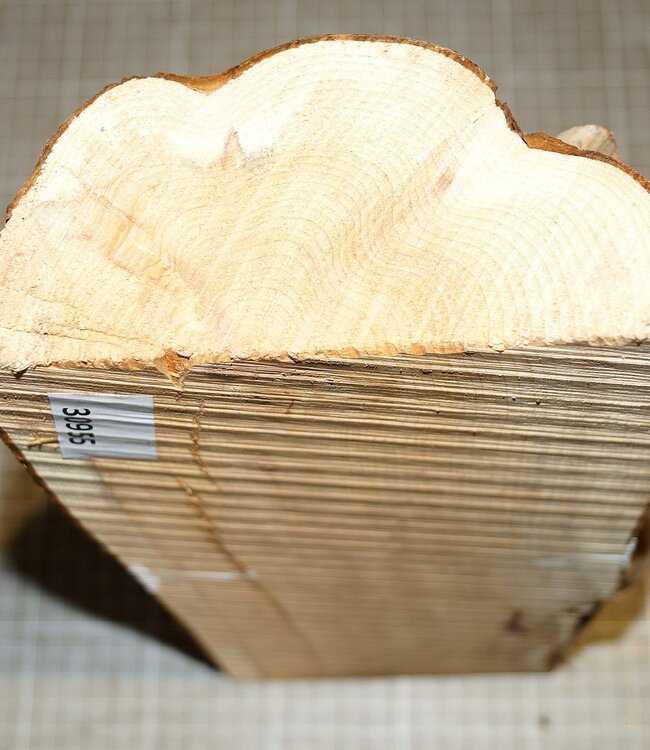 Yew, approx. 315 x 140 x 70 mm, 1,9 kg