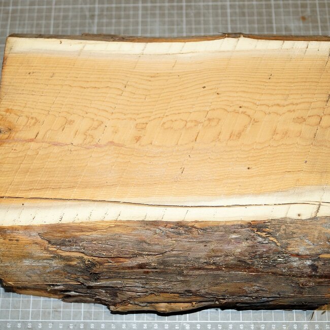 Yew, approx. 285 x 235 x 125 mm, 4,8 kg