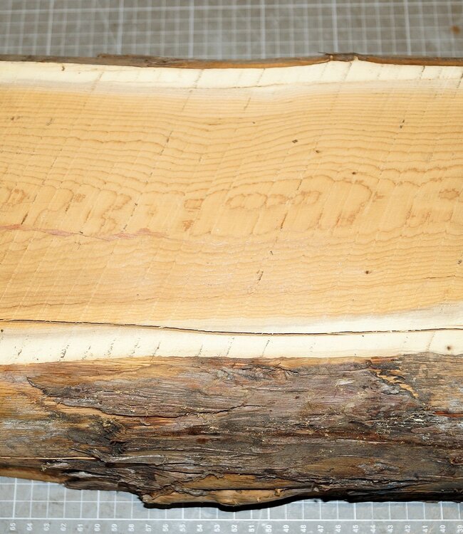 Yew, approx. 285 x 235 x 125 mm, 4,8 kg