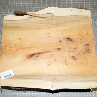 Eibe, ca. 290 x 265 x 88 mm, 3,5 kg