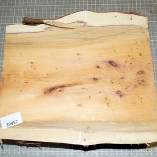 Yew, approx. 290 x 265 x 88 mm, 3,5 kg