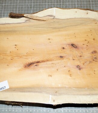 Yew, approx. 290 x 265 x 88 mm, 3,5 kg