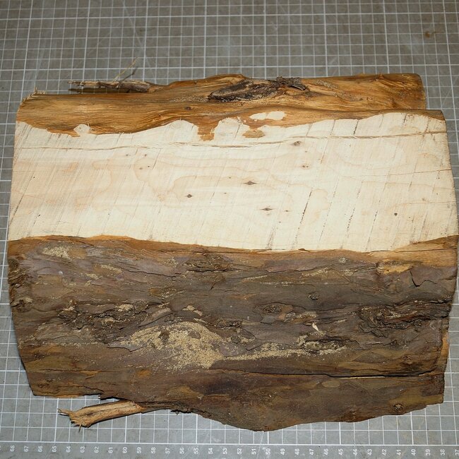 Yew, approx. 290 x 265 x 88 mm, 3,5 kg