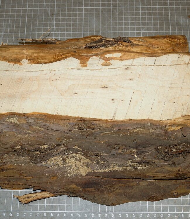 Yew, approx. 290 x 265 x 88 mm, 3,5 kg