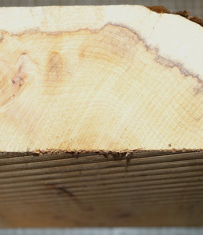 Eibe, ca. 290 x 265 x 88 mm, 3,5 kg