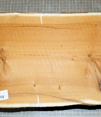 Eibe, ca. 290 x 230 x 85 mm, 2,8 kg