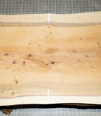 Yew, approx. 330 x 220 x 78 mm, 3,8 kg