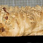 Goldfield burl, approx. 350 x 170 x 72 mm, 3,1 kg