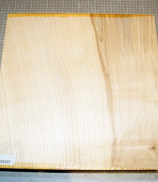 Esche, ca. 240 x 240 x 70mm, 2,6 kg