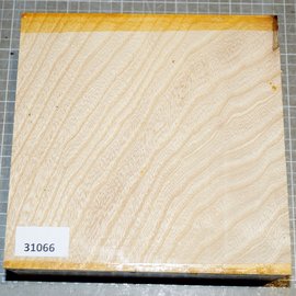 Esche, ca. 200 x 200 x 72mm, 1,9 kg