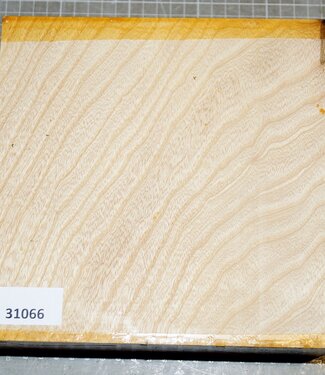 Esche, ca. 200 x 200 x 72mm, 1,9 kg