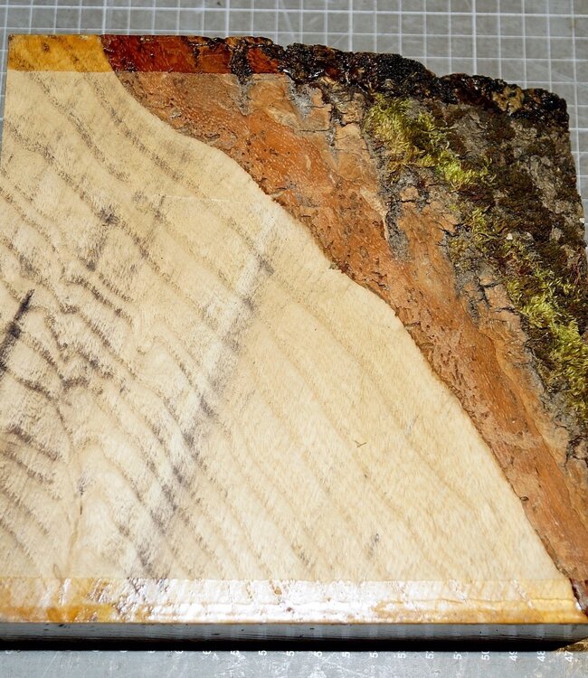 Esche, ca. 200 x 200 x 72mm, 1,9 kg