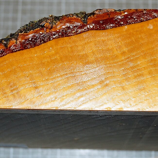 Esche, ca. 200 x 200 x 72mm, 1,9 kg