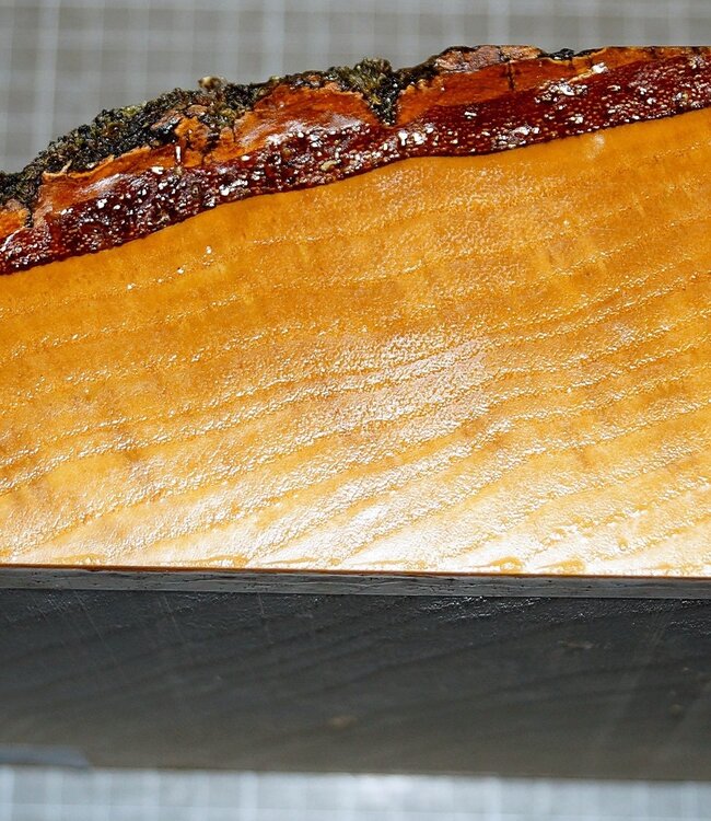 Ash, approx. 200 x 200 x 72mm, 1,9 kg