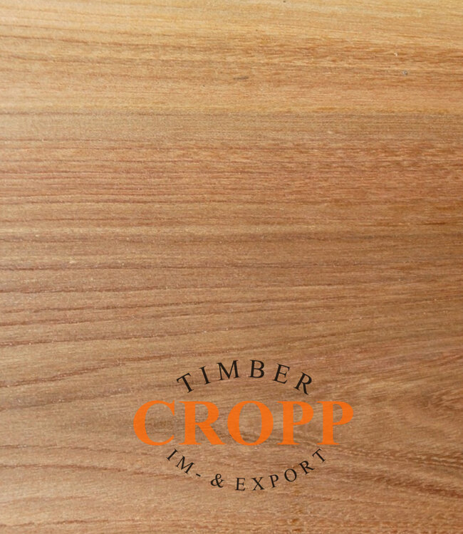 Div. Maße - Rüster, Ulme Kantel