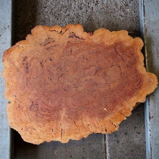 Salmon Gum burl, slab, approx. 550 x 410 x 60 mm, 13034