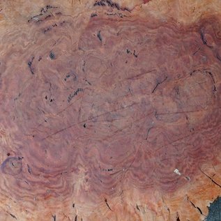 Salmon Gum burl, slab, approx. 550 x 410 x 60 mm, 13034