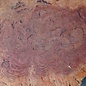Salmon Gum Maser, Baumscheibe, ca. 550 x 410 x 60 mm, 13034