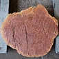 Salmon Gum burl, slab, approx. 590 x 490 x 60 mm, 13032