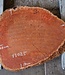 Jarrah Maser, Baumscheibe, ca. 680 x 580 x 42 mm, 13025