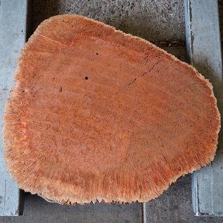 Jarrah burl, slab, approx. 680 x 580 x 42 mm, 13025