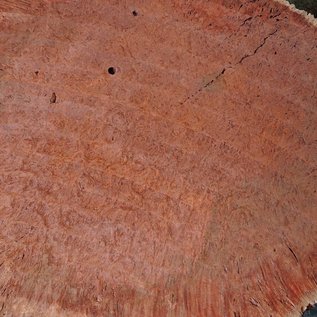 Jarrah burl, slab, approx. 680 x 580 x 42 mm, 13025