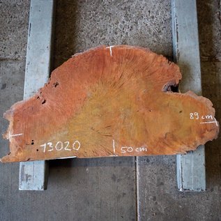 Jarrah burl, slab, approx. 890 x 500 x 57 mm, 13020