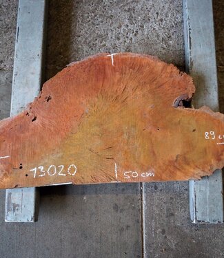 Jarrah burl, slab, approx. 890 x 500 x 57 mm, 13020