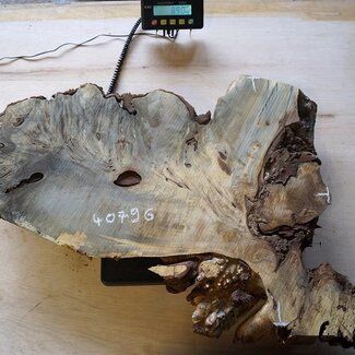 Buckeye burl slab, approx. 820 x 610 x 52 mm, 40796